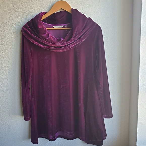 Soft Surroundings Berry Velvet Cowl Neck Top Cozy - Picture 8 of 10